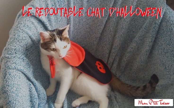 le-redoutable-chat-d-halloween-ade