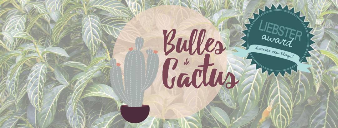 bulles de cactus liebster award