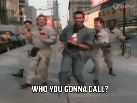 who you gonna call