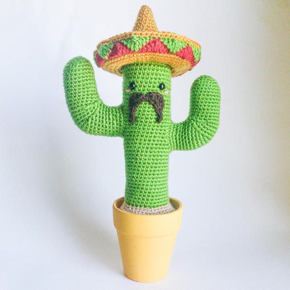 cactus mexicain