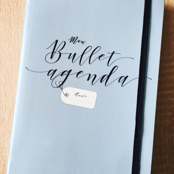 Un Bullet Journal Pour La Rentr E Mon P Tit Tr Sor